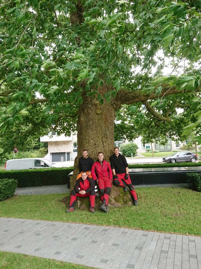 Wietzke Baumpflege in Schleswig-Holstein Weddelbrook über uns
