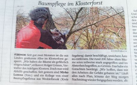 Wietzke Baumpflege in Schleswig-Holstein Weddelbrook Presse