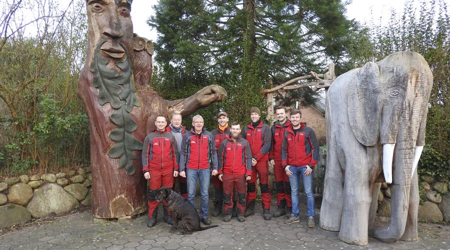 Wietzke Baumpflege in Schleswig-Holstein Weddelbrook Projekte und Beispiele